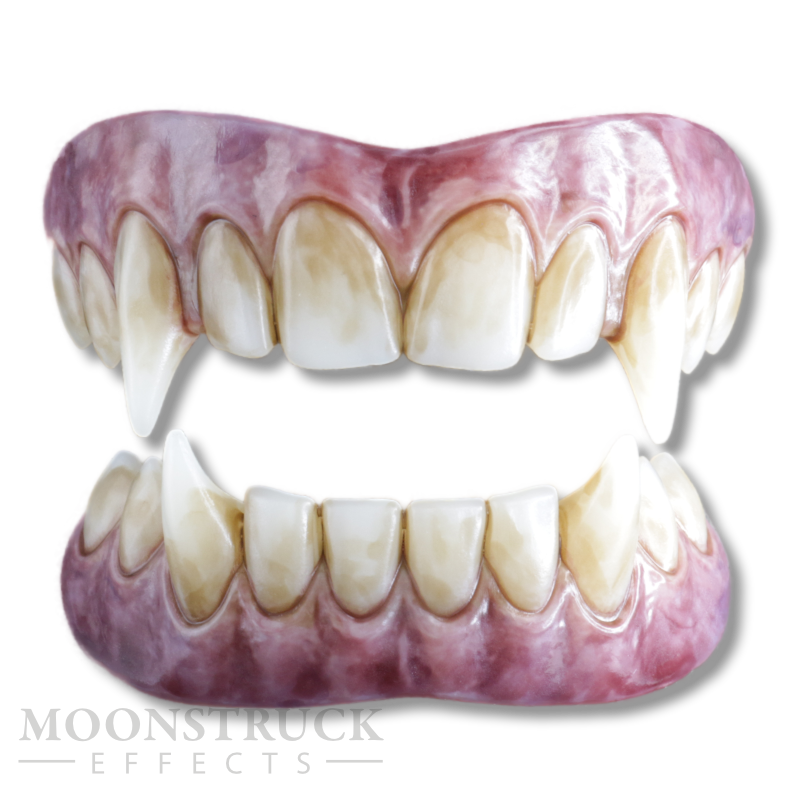 Fenrir full werewolf FX teeth set with long upper fangs, rising lower canines, warm ivory staining and dusky gums