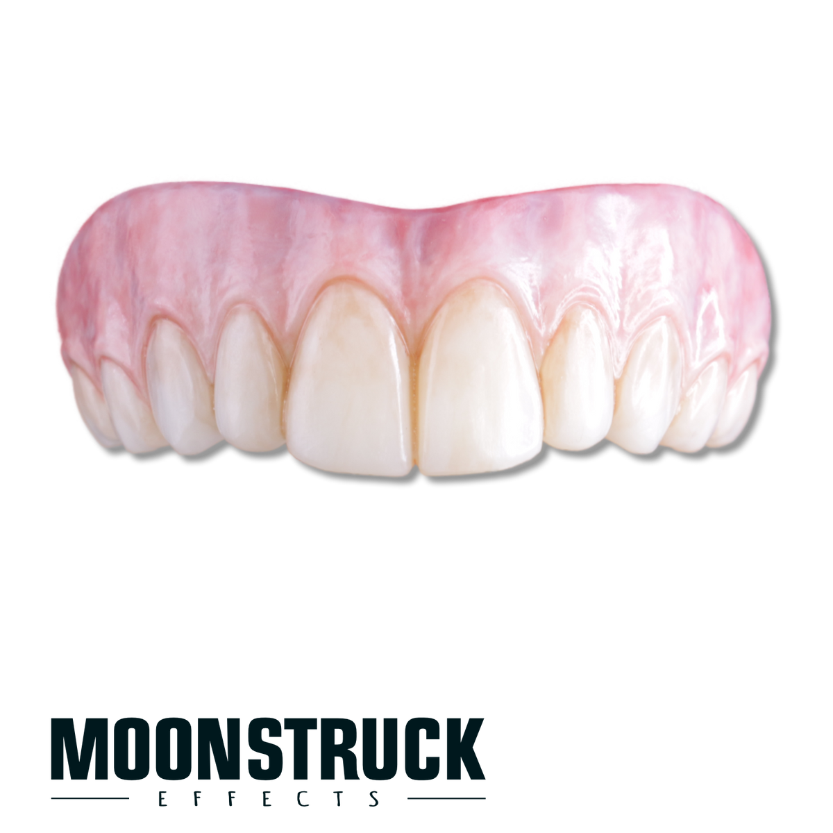 Winniwitch upper teeth with two prominent central front teeth